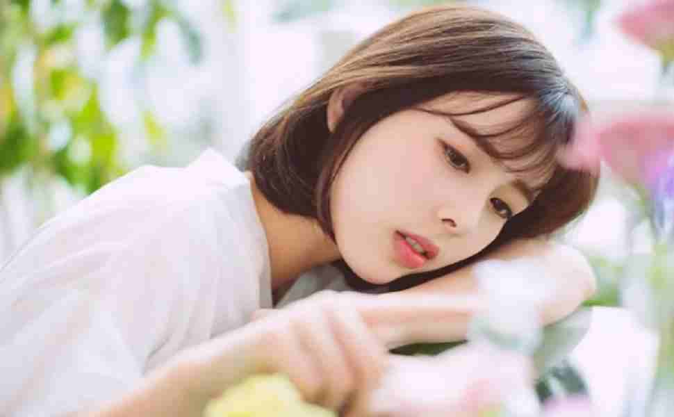 热门电视剧